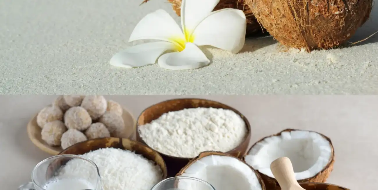 India is the largest producer and exporter of coir and coconut-based products. Known for their durability, ecofriendliness, and versatility.