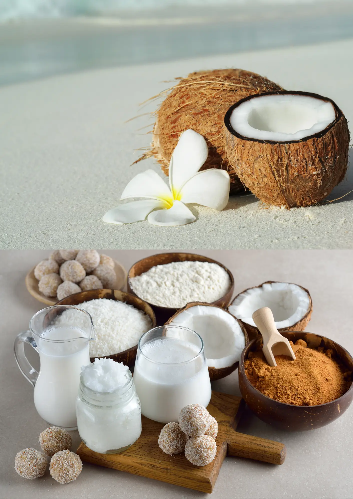 India is the largest producer and exporter of coir and coconut-based products. Known for their durability, ecofriendliness, and versatility.