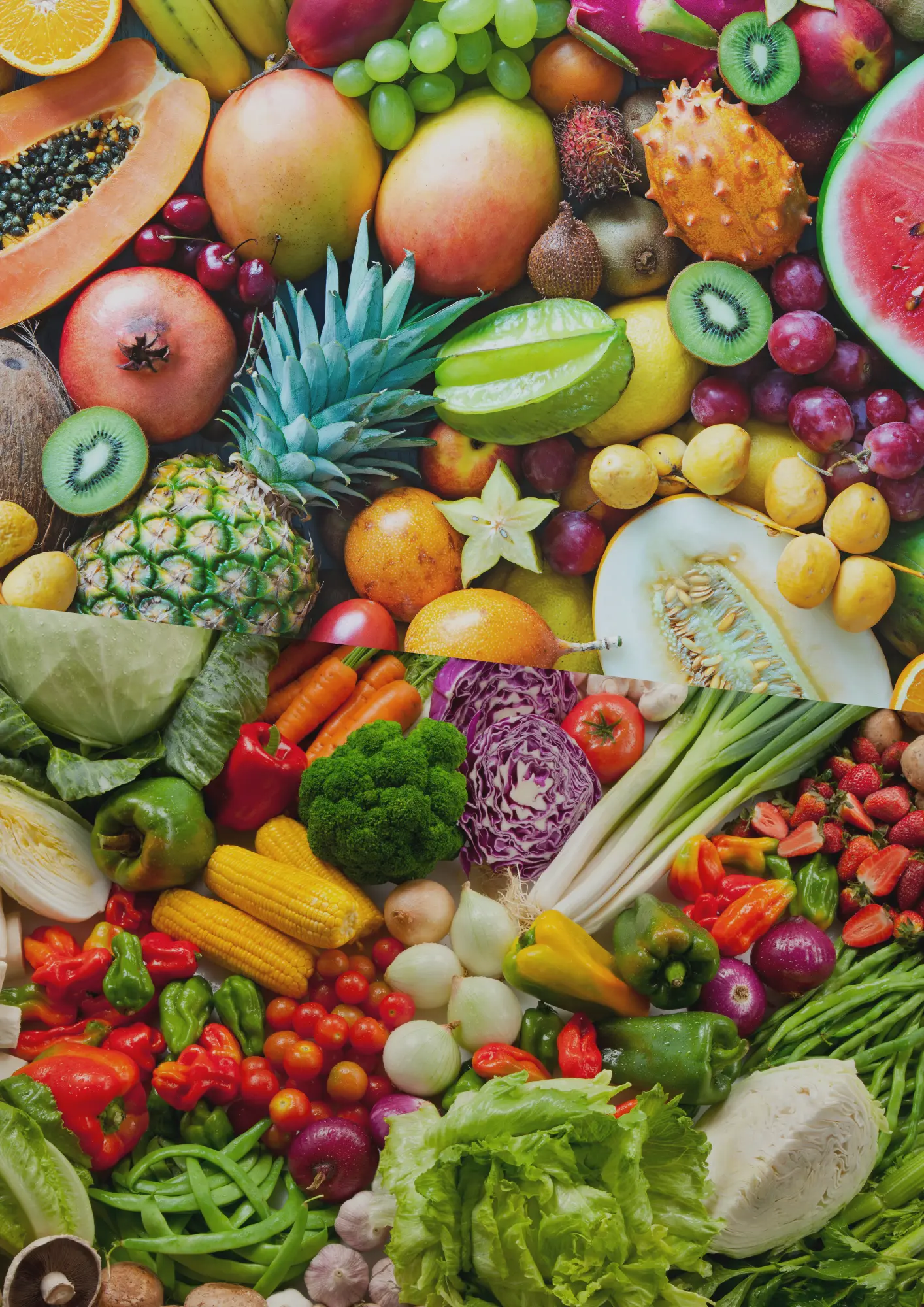 Premium farm-fresh produce sourced directly from trusted farms across India. Our fruits and vegetables are carefully selected for freshness, taste, and nutritional quality, ensuring global buyers receive only the best.