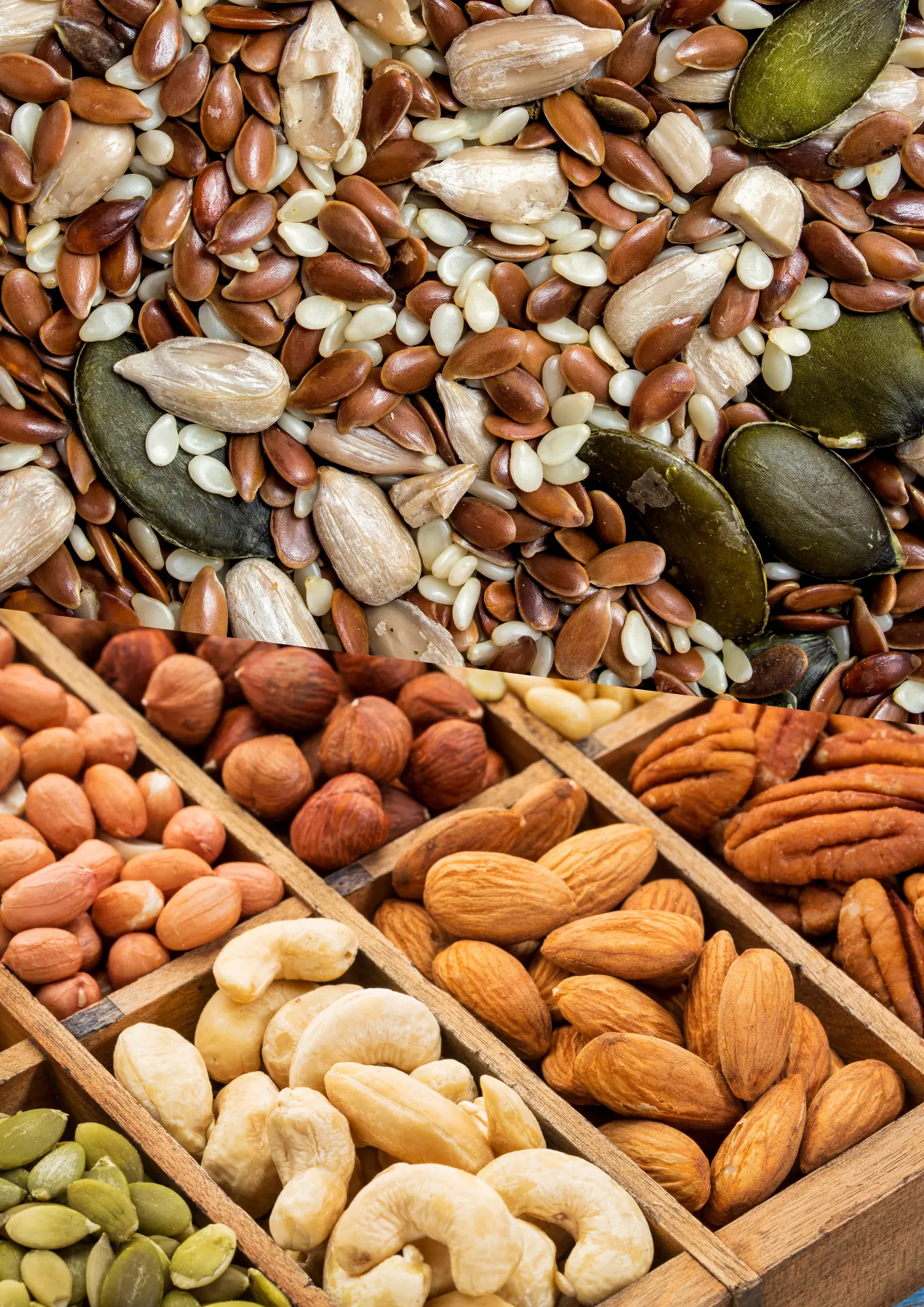 India is a leading exporter of premiumquality nuts, oilseeds, and dry fruits that are rich in taste, nutrition, and versatility. These products are widely used in snacks, oils, bakery, confectionery, and health food industries.