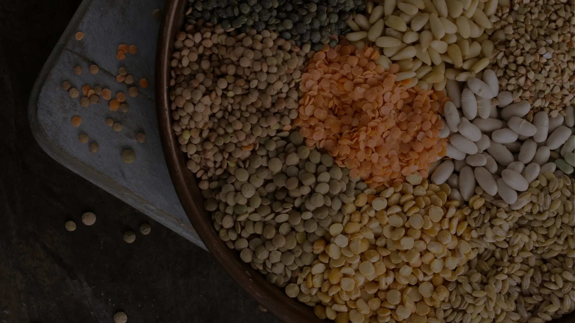 “Export-quality red lentils (Masoor Dal) from India” “High-protein chickpeas (Kabuli Chana) from Indian farms” “Basmati rice and cereals ready for export” “Urad dal (Black gram) – premium Indian pulse exporter” “Toor dal (Pigeon peas) cleaned and packed for shipment” “Chana dal export-quality pulses from India” “Organic wheat grains exporter from India” “Bulk green gram (Moong dal) exporter” “Barley and maize cereals for export” “Indian pulses packaged for international delivery”