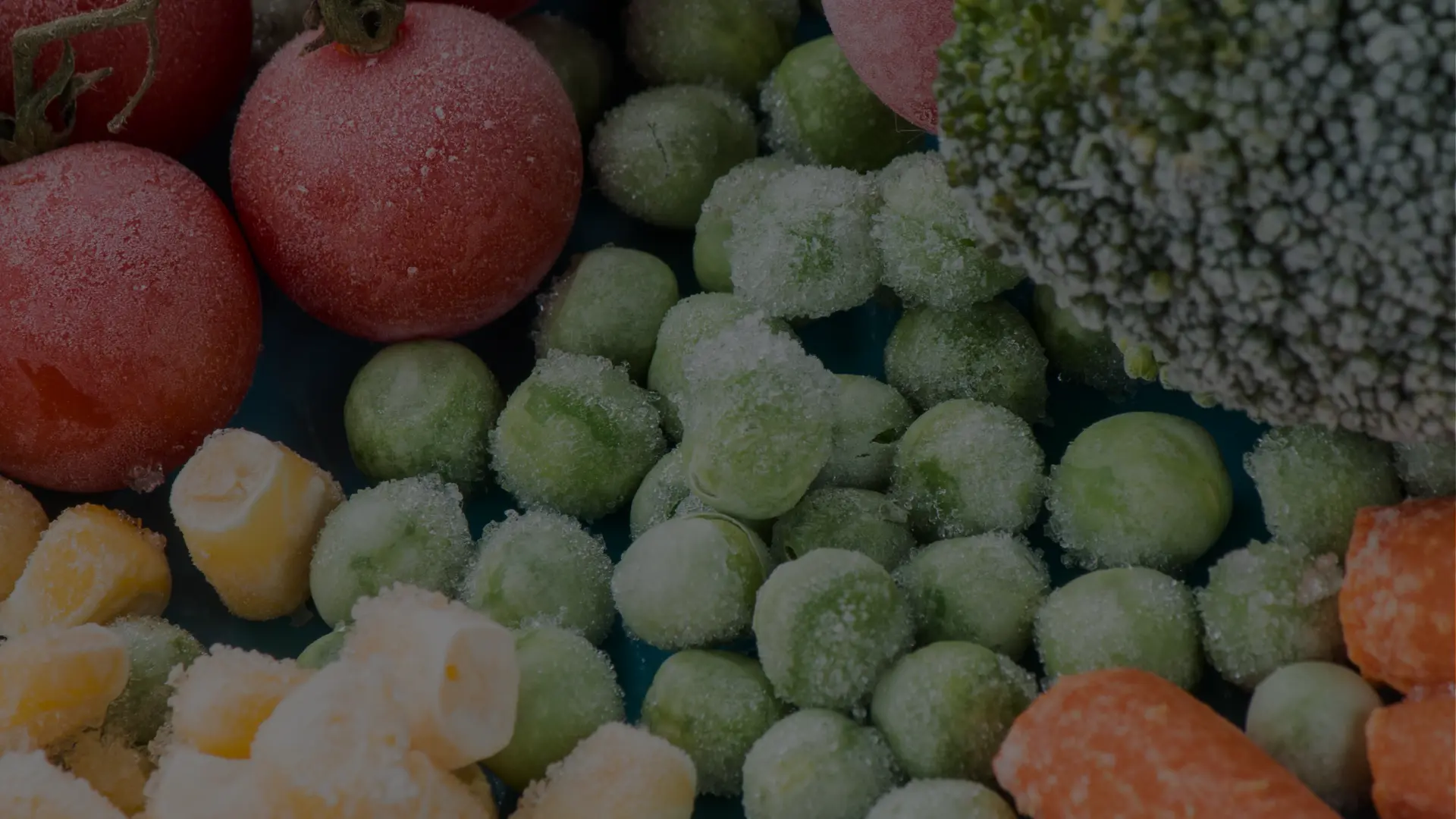 Frozen Foods from India Indian Frozen Vegetables Indian Frozen Fruits Export Quality Frozen Foods Frozen Ready-to-Cook Indian Meals Packaged Frozen Indian Foods Premium Indian Frozen Foods